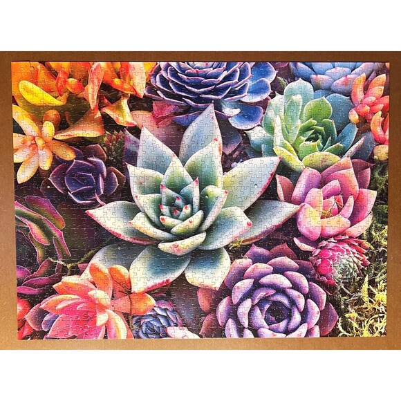Simple Succulents 1000 Piece Photographic Jigsaw Puzzle Buffalo - Complete - Picture 3 of 7